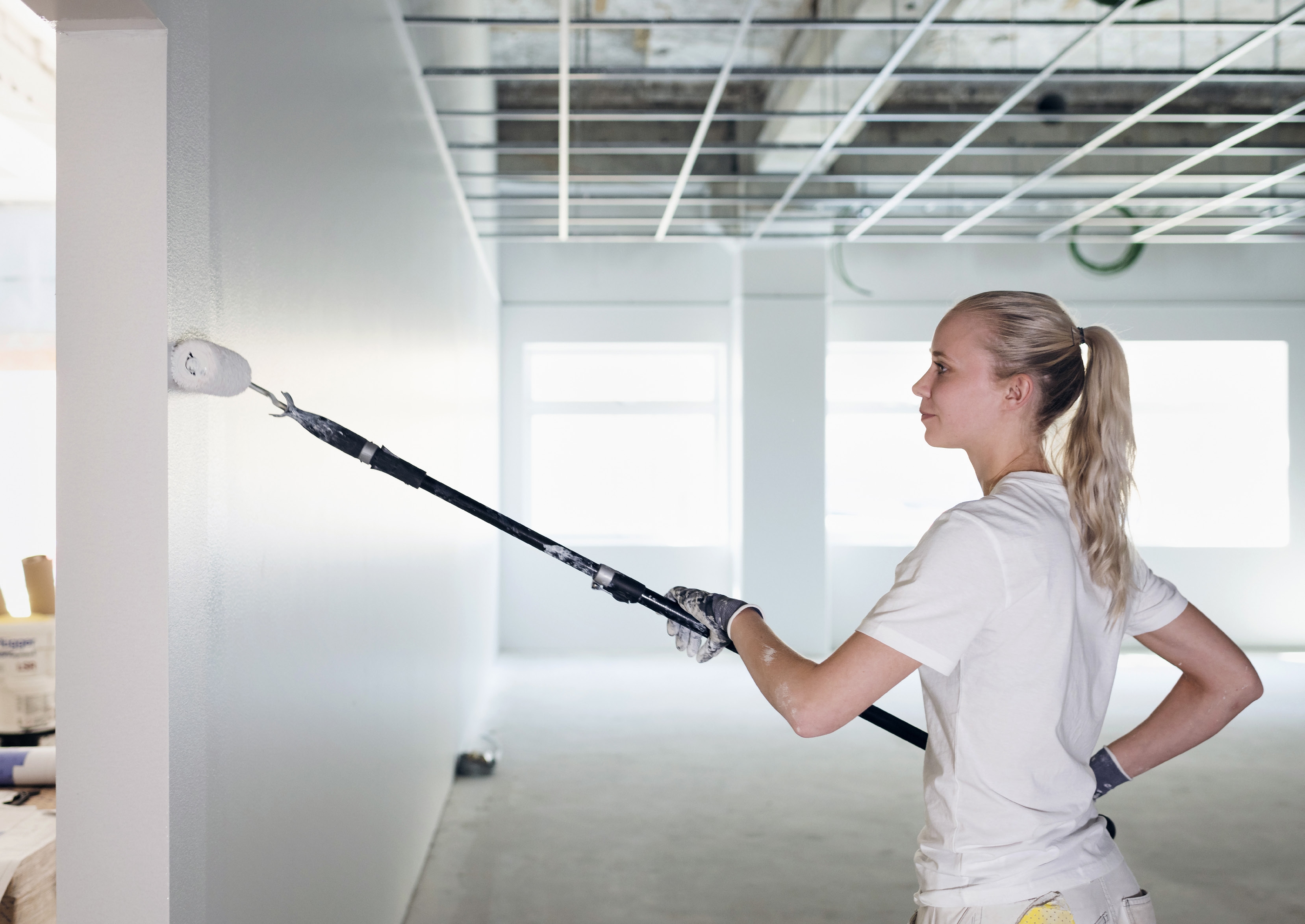 Anza Verfroller Professioneel Antex schilderen muur